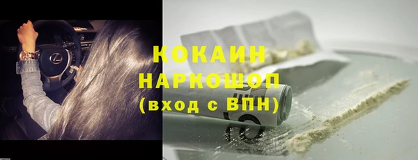 гидра Абаза