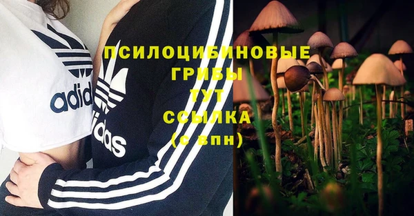 прущий лед Алексин