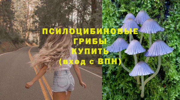 стафф Алексеевка