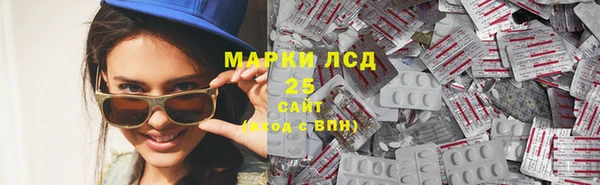 гидра Абаза