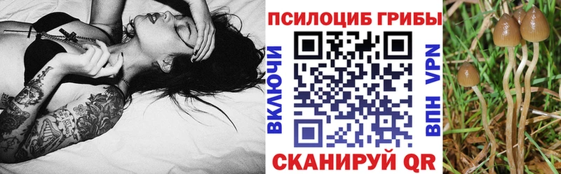 KRAKEN ССЫЛКА  Ува  Псилоцибиновые грибы Psilocybine cubensis 