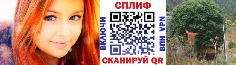 как найти   Ува  Каннабис MAZAR 